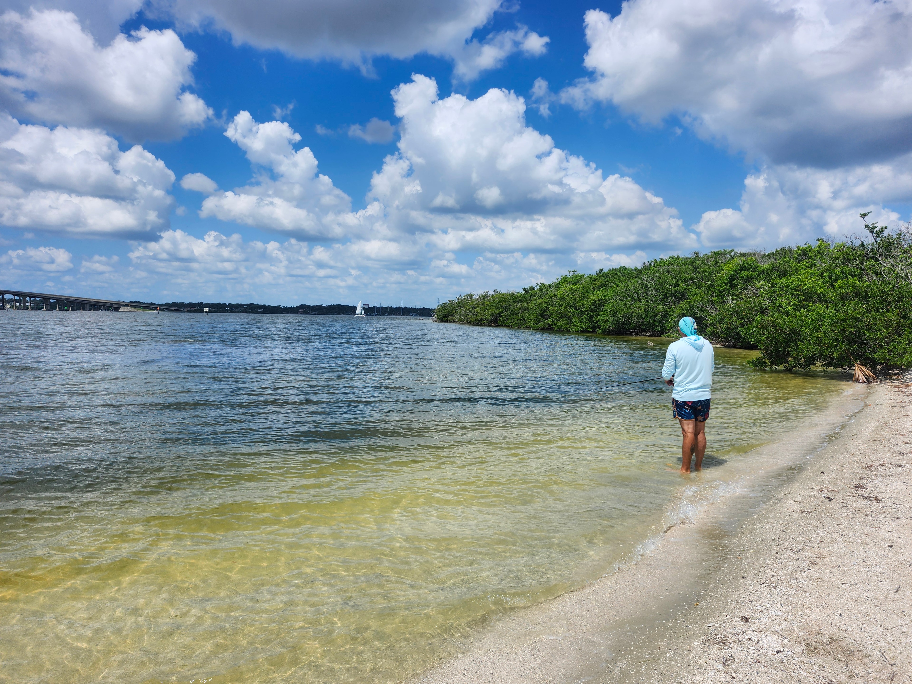 Guest fishing along a mangrove shoreline on the Indian River Lagoon
