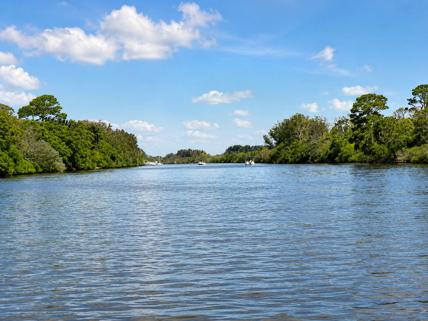 Scenic view of the Indian River Lagoon with boats and mangroves