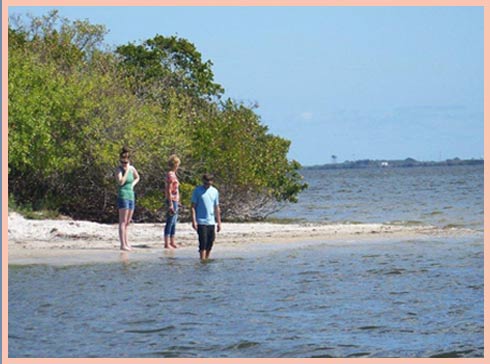 Guests wading near mangrove islands in shallow water